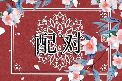 鬼谷星与择偶偏好
