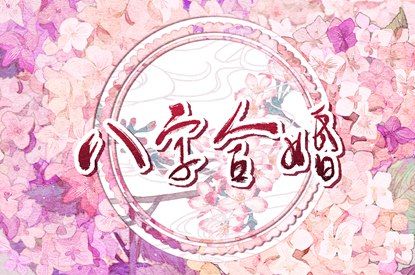 测算里的概率与可能